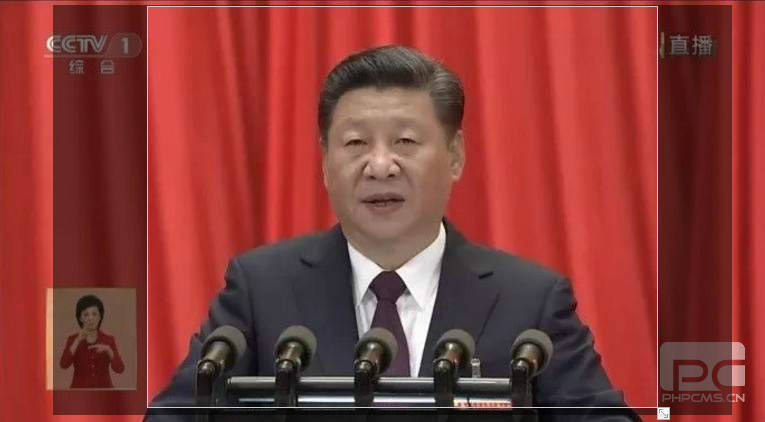 習近平：生態(tài)文明建設(shè)成效顯著